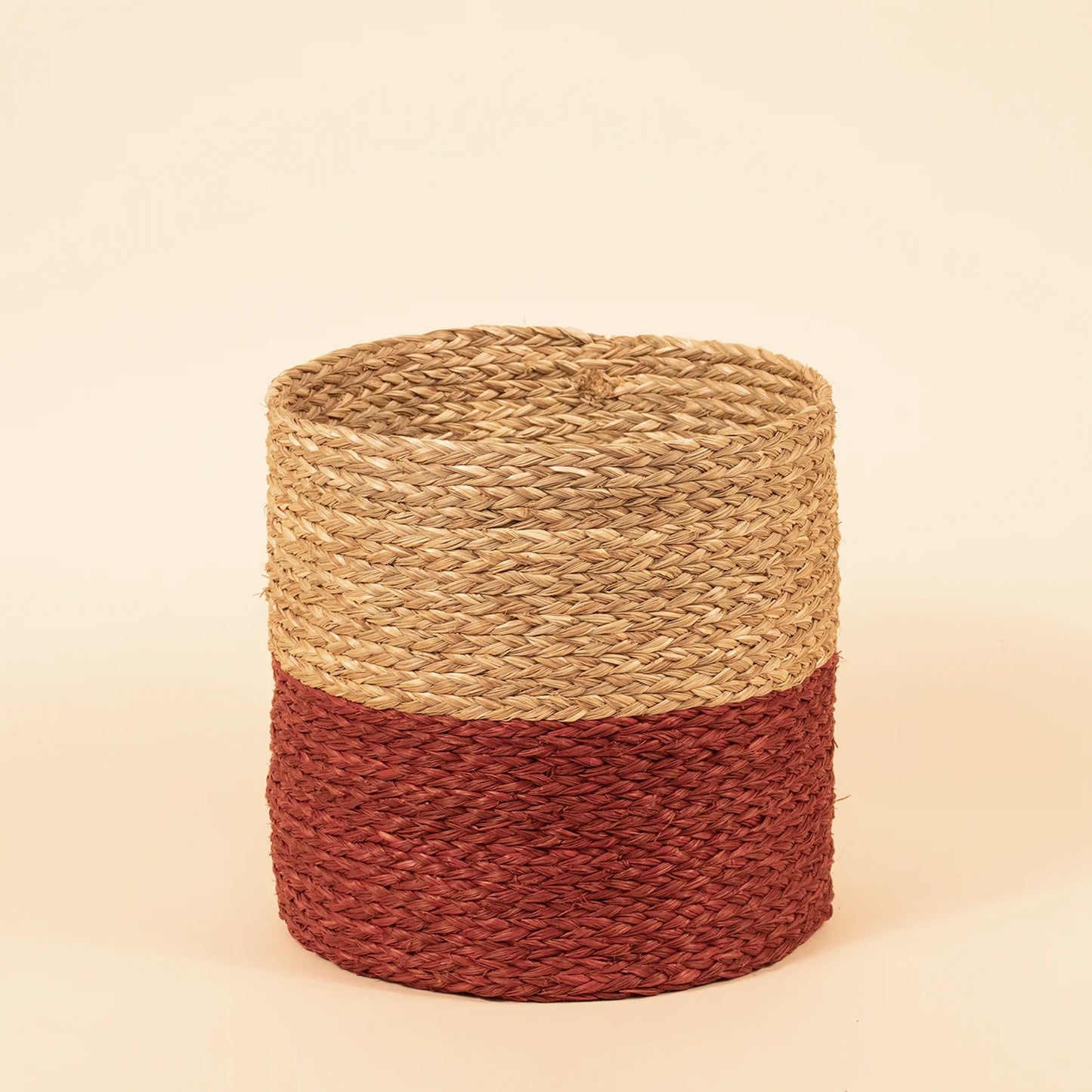PopColor Planter